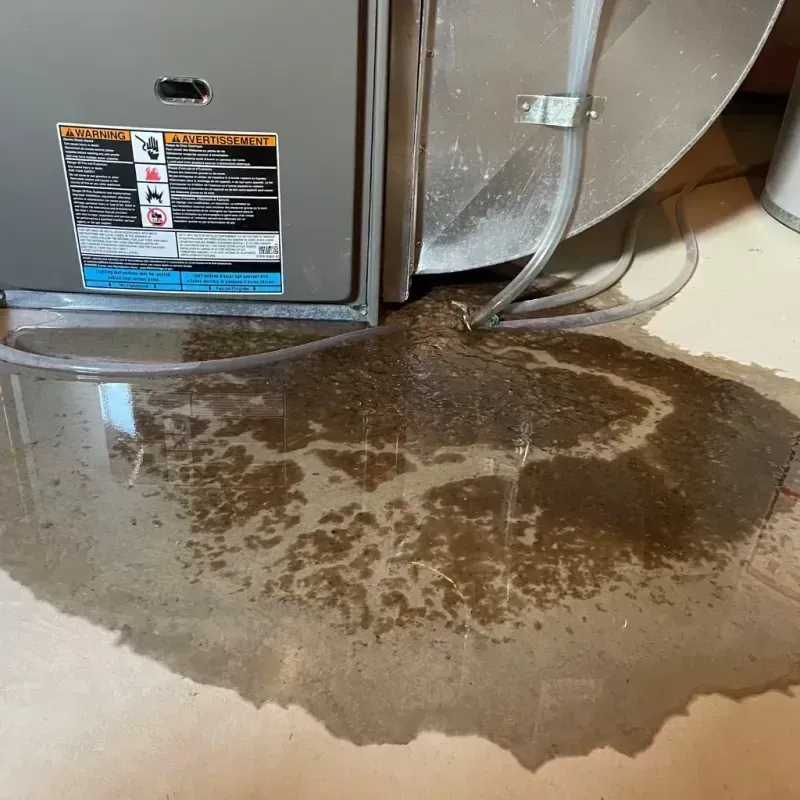 Appliance Leak Cleanup in Cabarrus County, NC